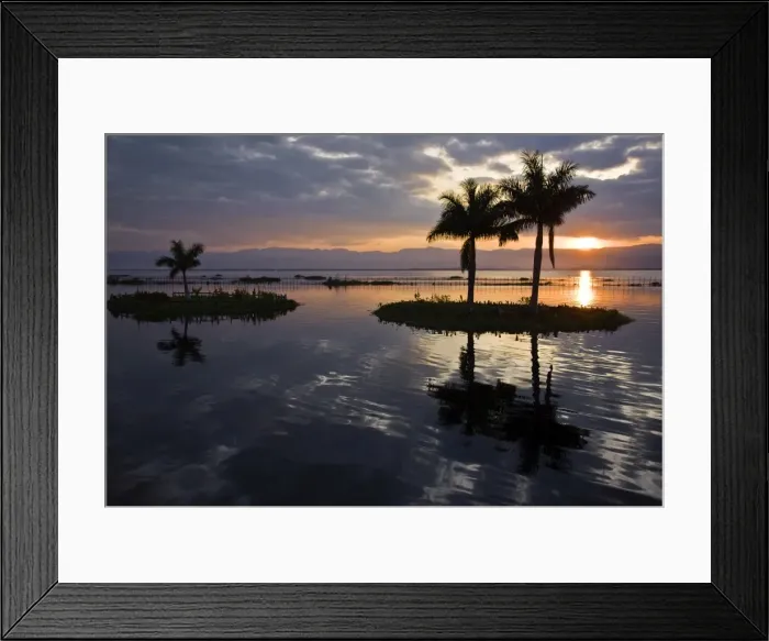 Framed Print : December 2008 Framed Print : December 2008