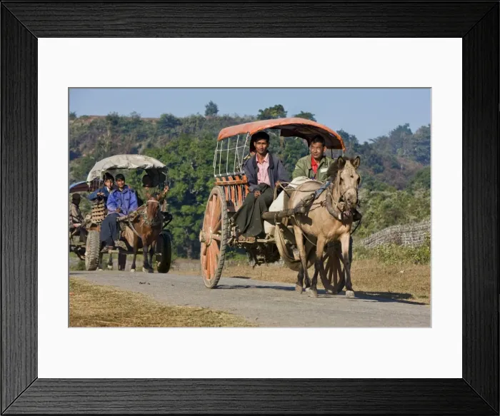 Framed Print : January 2009 Framed Print : January 2009