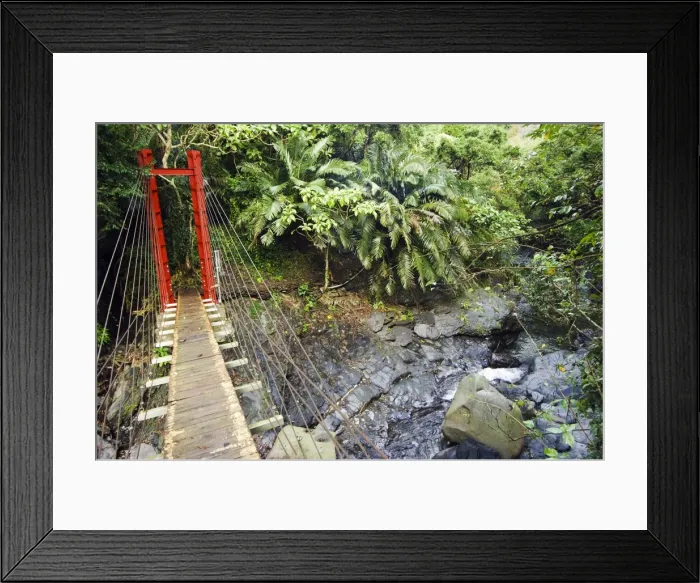 Framed Print : County Maolin Rope Bridge Framed Print : County Maolin Rope Bridge
