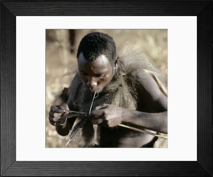 Framed Print : A Hadza hunter fledges an arrow shaft Framed Print : A Hadza hunter fledges an arrow shaft