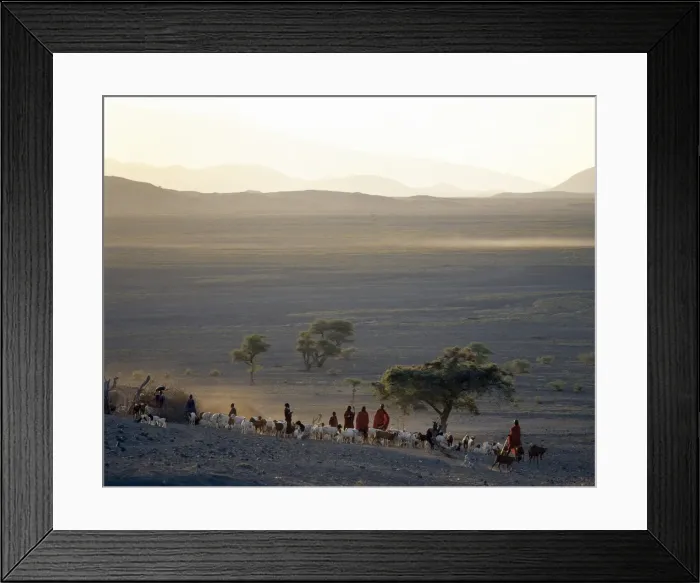 Framed Print : The scene at a Msai manyatta south of Lake Natron