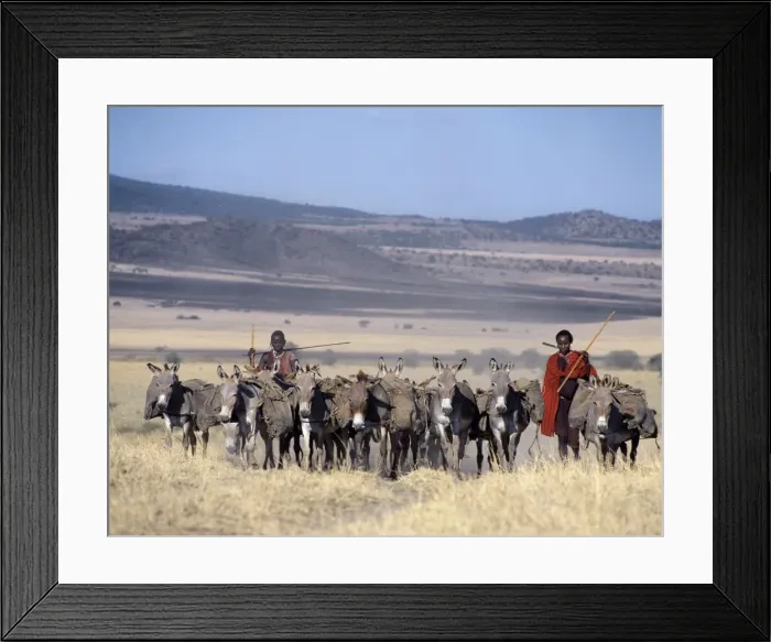 Framed Print : Rights Managed Framed Print : Rights Managed