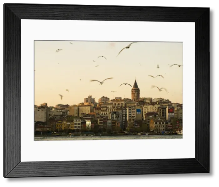 Framed Print : Seagulls flock above the Golden Horn, Istanbul Framed Print : Seagulls flock above the Golden Horn, Istanbul