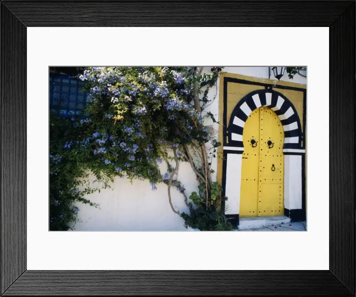 Framed Print : A decorative doorway of a private house in Tunis