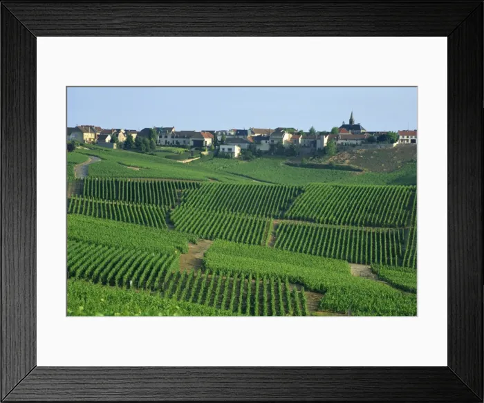 Framed Print : France, Marne, Champagne, Cramant Village and Vineyards Framed Print : France, Marne, Champagne, Cramant Village and Vineyards