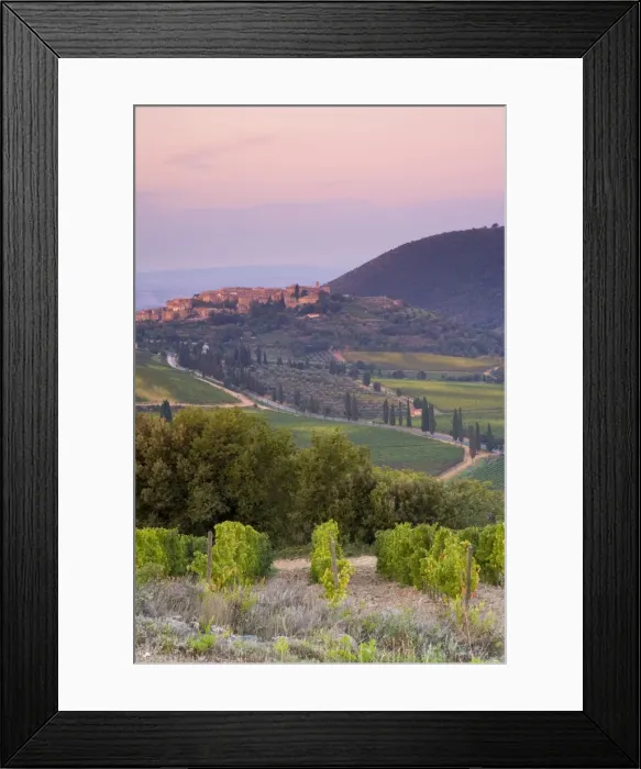 Framed Print : Castelnuovo del Abate, Tuscany, Italy