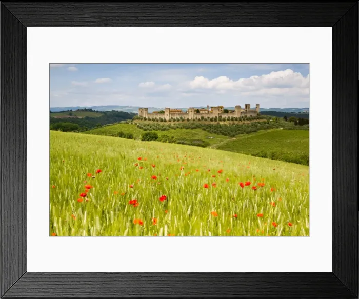 Framed Print : Monteriggioni Framed Print : Monteriggioni