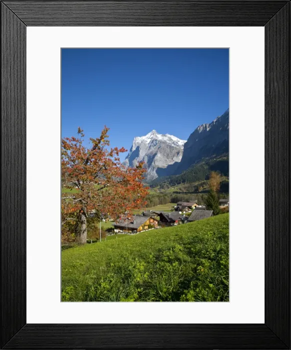 Framed Print : Traditional Houses, Wetterhorn & Grindelwald, Berner Oberland, Switzerland Framed Print : Traditional Houses, Wetterhorn & Grindelwald, Berner Oberland, Switzerland