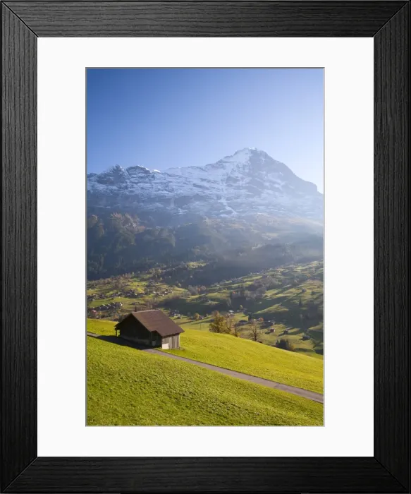 Framed Print : Alpine Meadow, Eiger & Grindelwald, Berner Oberland, Switzerland
