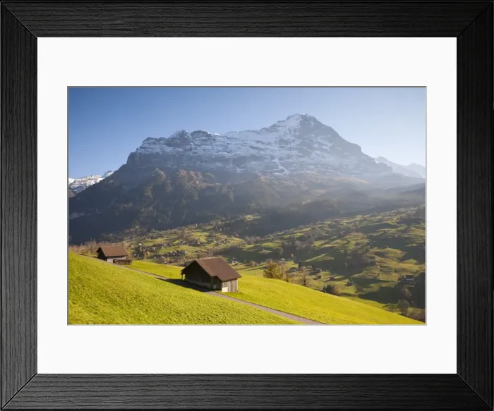 Framed Print : Alpine Meadow, Eiger & Grindelwald, Berner Oberland, Switzerland Framed Print : Alpine Meadow, Eiger & Grindelwald, Berner Oberland, Switzerland