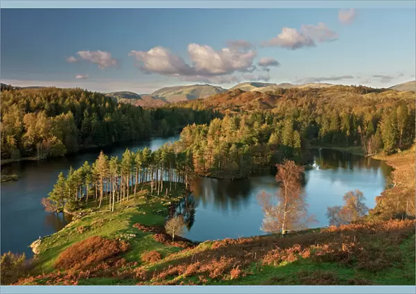 Autumn colours at Tarn Hows nearr Hawkshead, Lake District, Cumbria, England