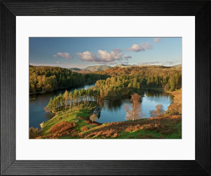 Framed Print : Autumn colours at Tarn Hows nearr Hawkshead, Lake District, Cumbria, England