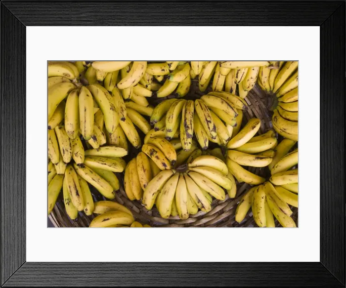 Framed Print : Mauritius, Port Louis, Central Market, bananas Framed Print : Mauritius, Port Louis, Central Market, bananas