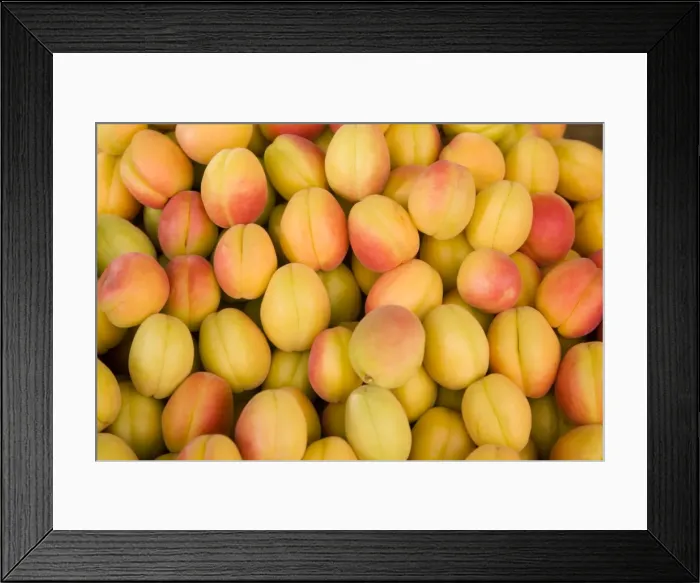 Framed Print : Turkey, Eastern Turkey, Malatya, Bazaar, Apricots Framed Print : Turkey, Eastern Turkey, Malatya, Bazaar, Apricots