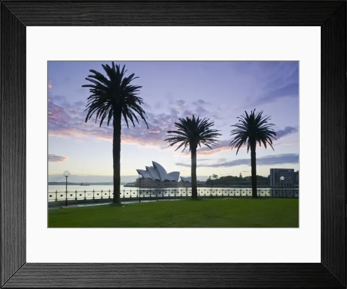 Framed Print : Australia, New South Wales, Sydney, Sydney Opera House through palms