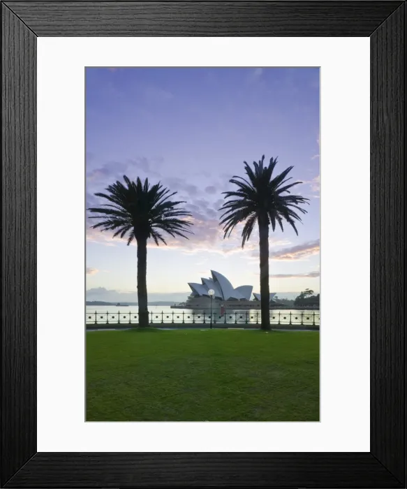 Framed Print : Australia, New South Wales, Sydney, Sydney Opera House through palms Framed Print : Australia, New South Wales, Sydney, Sydney Opera House through palms