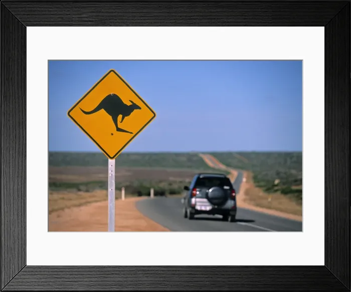 Framed Print : Kangaroo Road Sign, Western Australia, Australia Framed Print : Kangaroo Road Sign, Western Australia, Australia