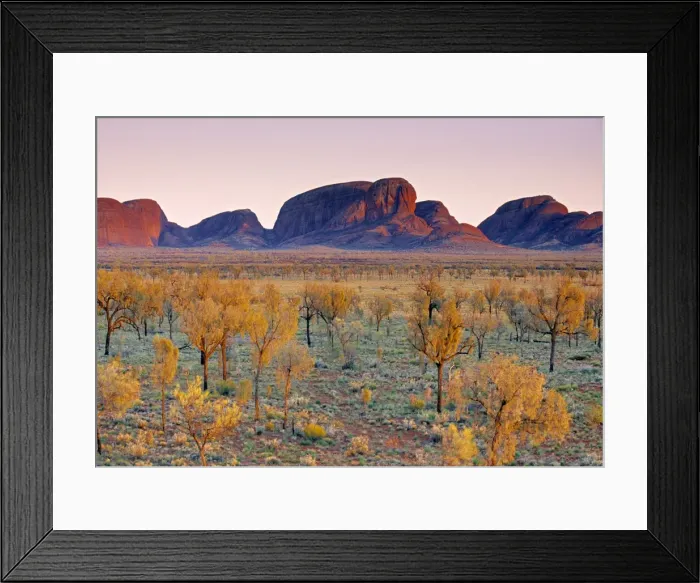 Framed Print : The Olgas, Northern Territories Framed Print : The Olgas, Northern Territories