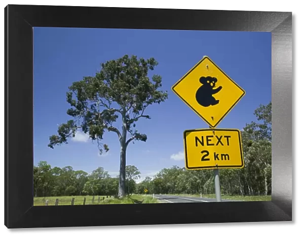 Australia, Queensland, Fraser Coast, Maryborough, Koala Crossing Sign on the Bruce Highway