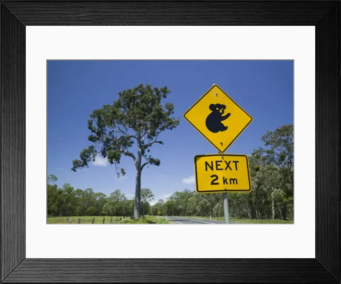 Framed Print : Australia, Queensland, Fraser Coast, Maryborough, Koala Crossing Sign on the Bruce Highway Framed Print : Australia, Queensland, Fraser Coast, Maryborough, Koala Crossing Sign on the Bruce Highway