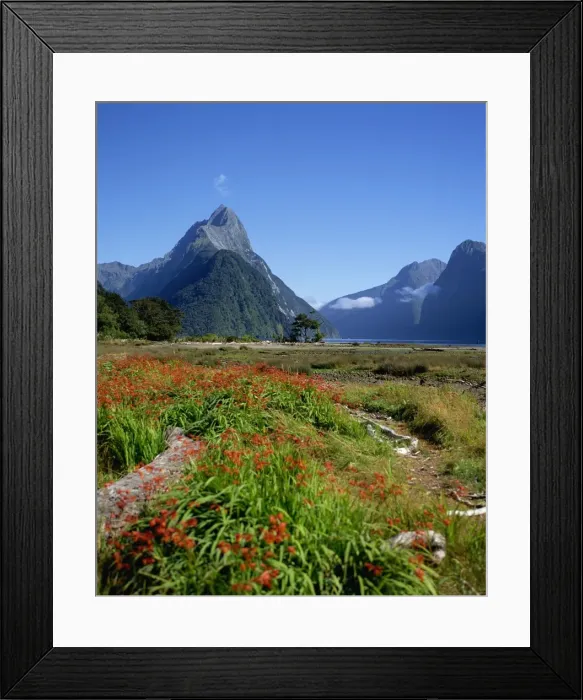 Framed Print : New Zealand, Milford Sound, Mitre Peak Framed Print : New Zealand, Milford Sound, Mitre Peak