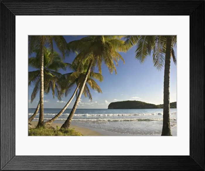 Framed Print : Beach, La Sagesse Estate, Grenada, Caribbean Framed Print : Beach, La Sagesse Estate, Grenada, Caribbean