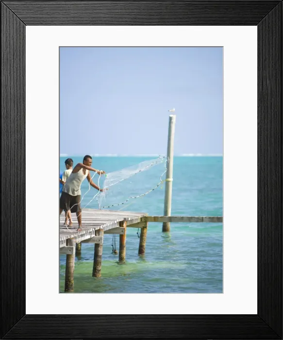 Framed Print : Net fishing, Caye Caulker, Belize Framed Print : Net fishing, Caye Caulker, Belize