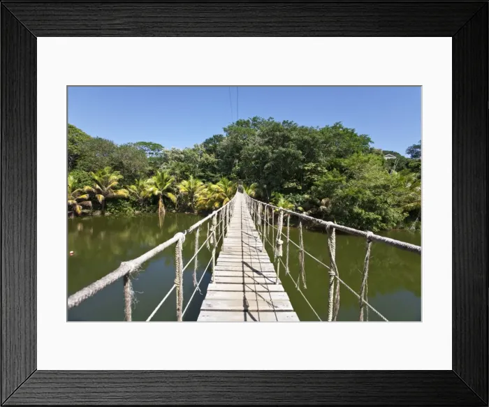 Framed Print : Honduras, Bay Islands, Roatan, Gumba Limba Park Framed Print : Honduras, Bay Islands, Roatan, Gumba Limba Park