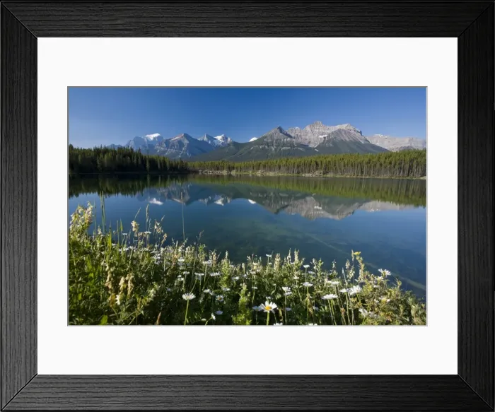 Framed Print : Bow Mountain Range and Herbert Lake Framed Print : Bow Mountain Range and Herbert Lake
