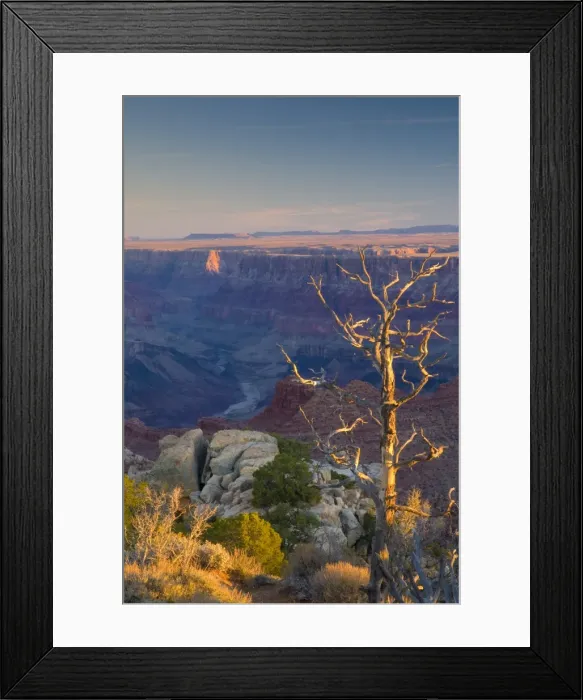 Framed Print : USA, Arizona Framed Print : USA, Arizona