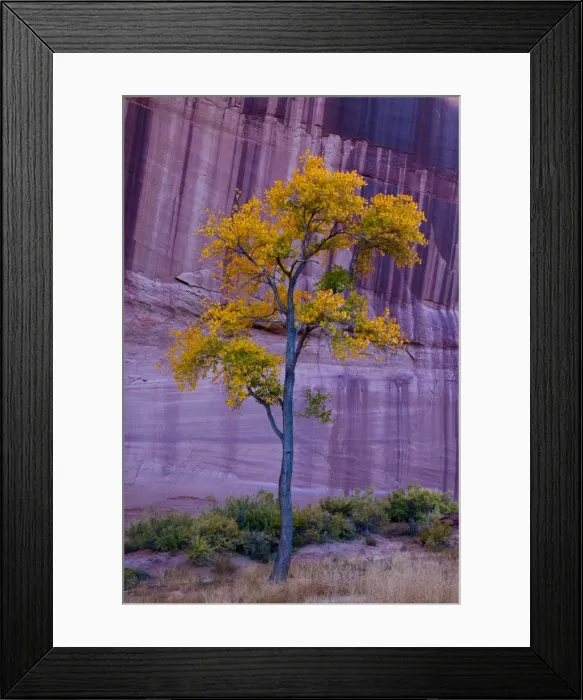 Framed Print : USA, Arizona, Canyon de Chelly National Monument Framed Print : USA, Arizona, Canyon de Chelly National Monument