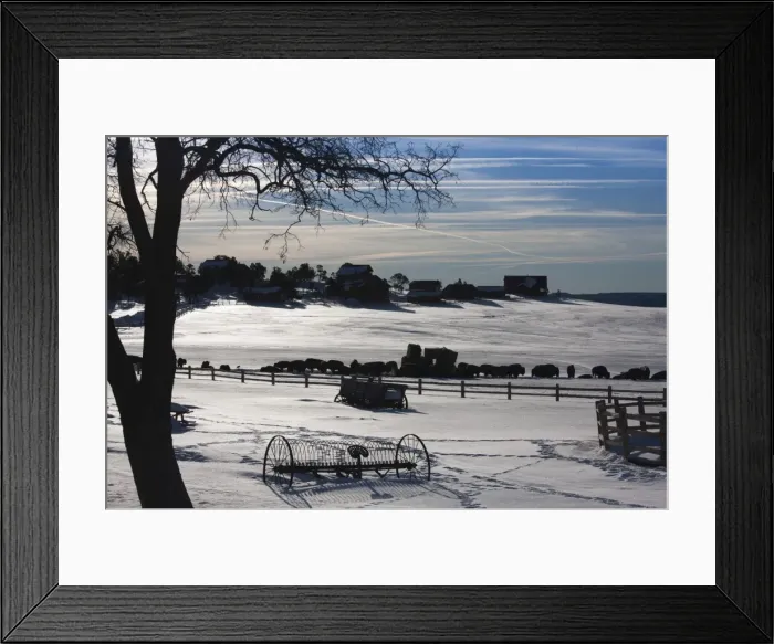 Framed Print : USA, Utah, Mt. Carmel Junction, buffalo ranch, winter