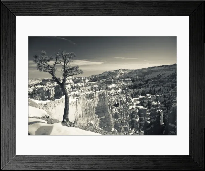 Framed Print : USA, Utah, Bryce Canyon National Park, Bryce Amphitheater between Sunrise Framed Print : USA, Utah, Bryce Canyon National Park, Bryce Amphitheater between Sunrise