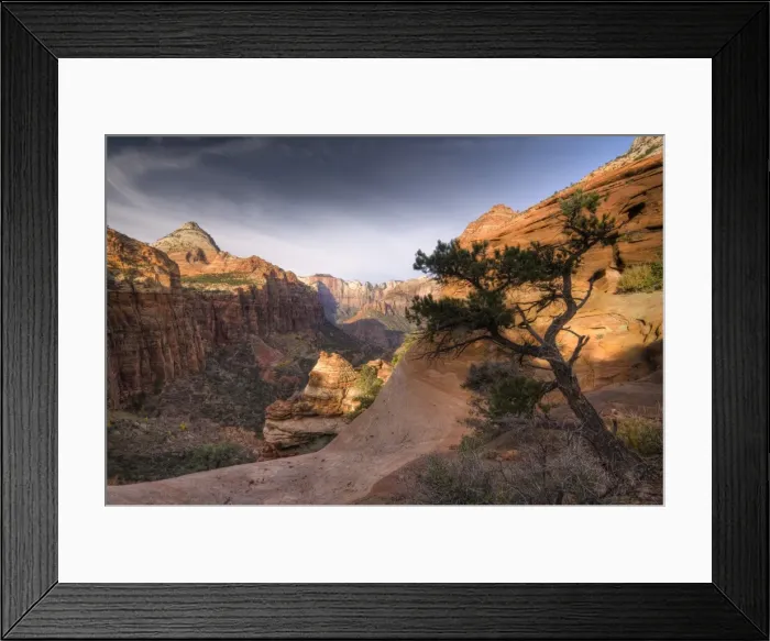 Framed Print : USA, Utah, Zion National Park