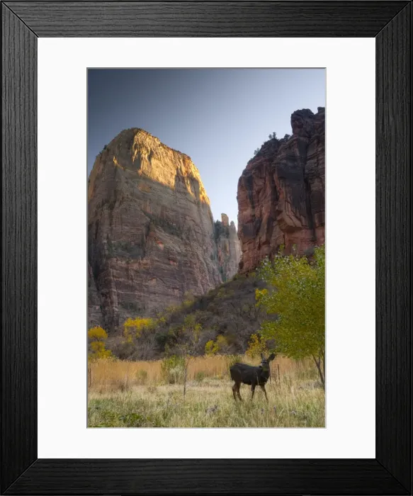 Framed Print : USA, Utah, Zion National Park, The Great White Throne Framed Print : USA, Utah, Zion National Park, The Great White Throne