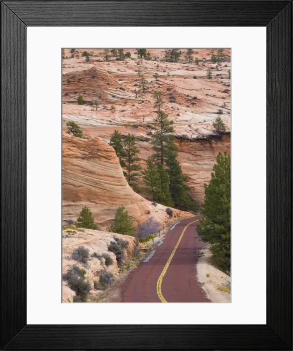Framed Print : USA, Utah, Zion National Park