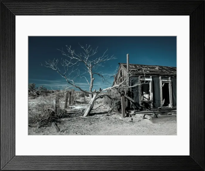 Framed Print : USA, California, Cima, Mojave National Preserve, abandoned Mojave Desert ranch, winter Framed Print : USA, California, Cima, Mojave National Preserve, abandoned Mojave Desert ranch, winter