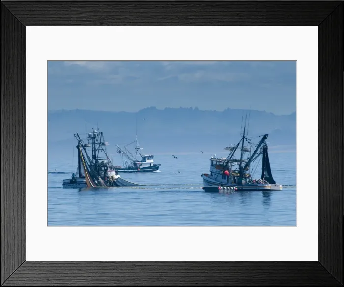 Framed Print : USA, California Framed Print : USA, California