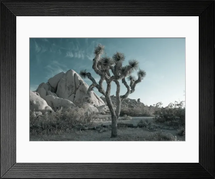 Framed Print : USA, California Framed Print : USA, California