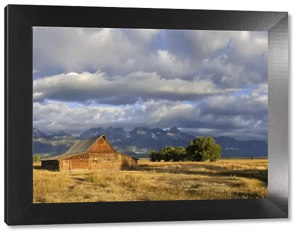 Old Barn and Teton Mountain Range, Jackson Hole, Wyoming, USA