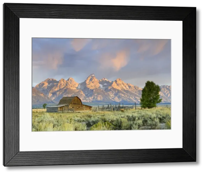 Framed Print : Historic Barn on Mormon Row and Teton Mountain Range Framed Print : Historic Barn on Mormon Row and Teton Mountain Range