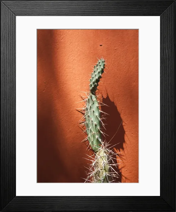 Framed Print : Argentina, Jujuy Province Framed Print : Argentina, Jujuy Province