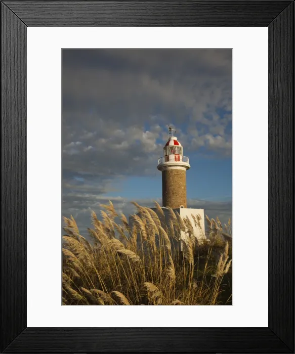 Framed Print : Uruguay, Montevideo, Punta Brava lighthouse, morning Framed Print : Uruguay, Montevideo, Punta Brava lighthouse, morning