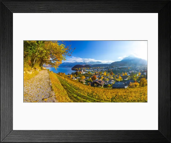 Framed Print : Spiez Castle and vineyards, Berner Oberland, Switzerland