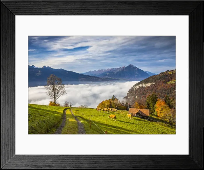 Framed Print : Niesen mountain and Lake Thun, Berner Oberland, Switzerland Framed Print : Niesen mountain and Lake Thun, Berner Oberland, Switzerland