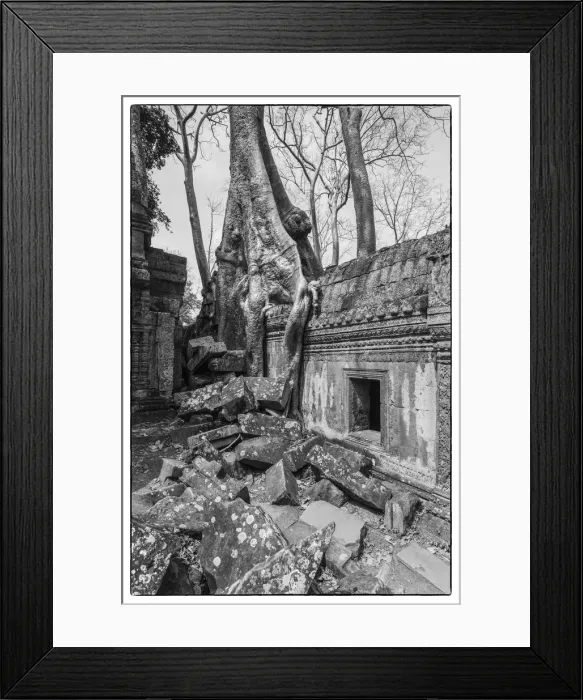 Framed Print : Cambodia, Angkor, Ta Prohm, temple tree Framed Print : Cambodia, Angkor, Ta Prohm, temple tree