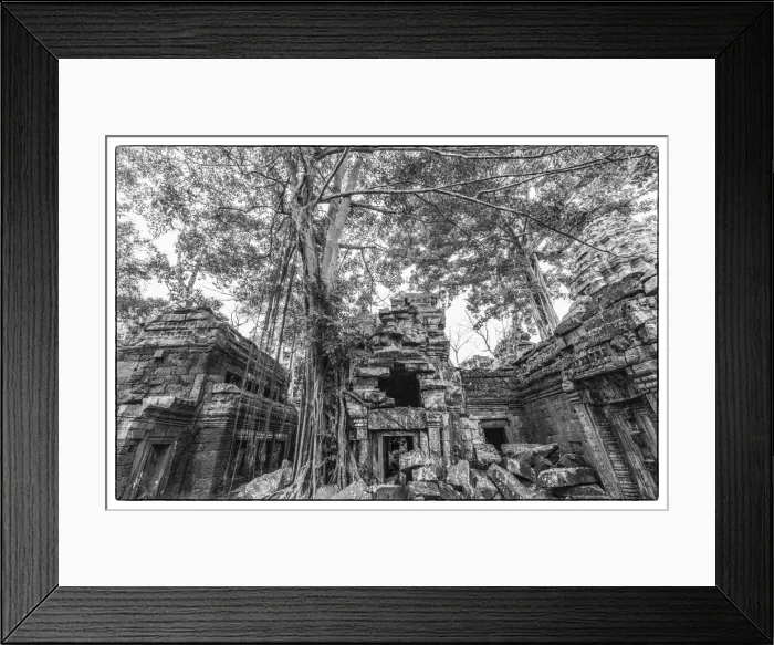 Framed Print : Cambodia, Angkor, Ta Prohm, temple tree
