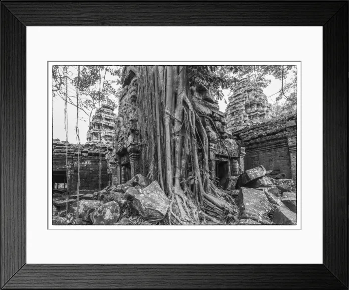 Framed Print : Cambodia, Angkor, Ta Prohm, temple tree Framed Print : Cambodia, Angkor, Ta Prohm, temple tree