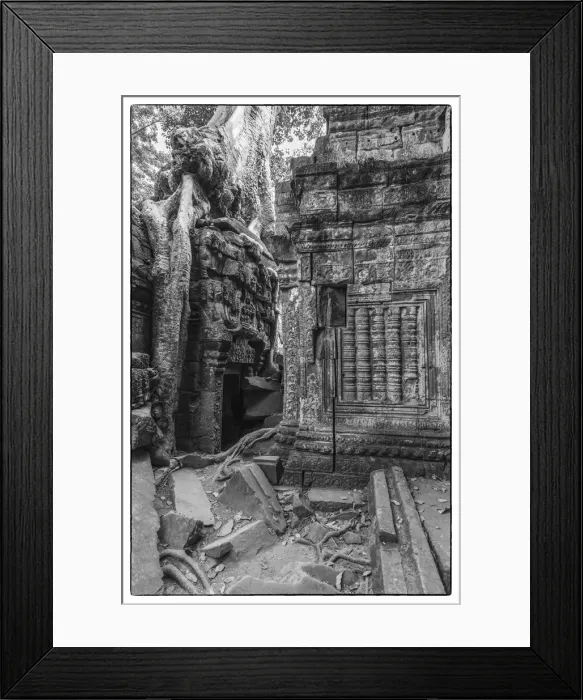 Framed Print : Cambodia, Angkor, Ta Prohm, temple tree Framed Print : Cambodia, Angkor, Ta Prohm, temple tree