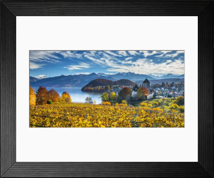 Framed Print : Spiez Castle and vineyards, Berner Oberland, Switzerland Framed Print : Spiez Castle and vineyards, Berner Oberland, Switzerland